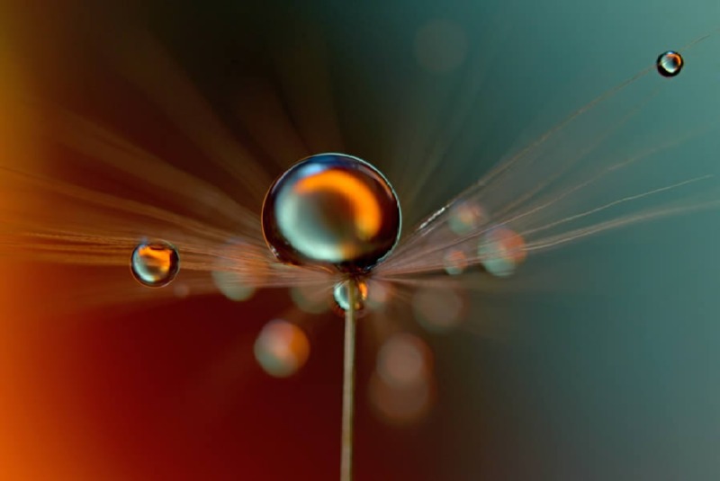 droplets-macro-photos-heidi-westum-03.jpg