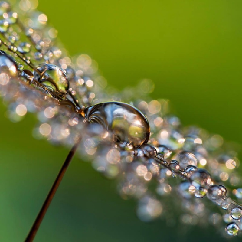 droplets-macro-photos-heidi-westum-09.jpg