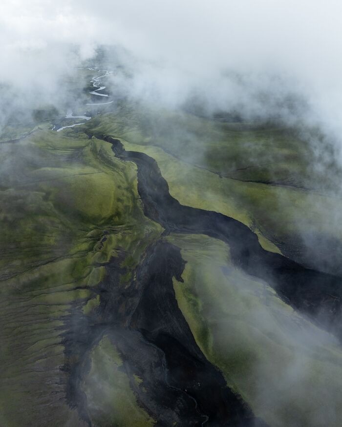 Capturing-the-Untamed-The-Photographic-Journey-of-Jeroen-Van-Nieuwenhove-678a15d849f52__700.jpg