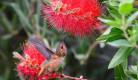DSC_7789.jpg