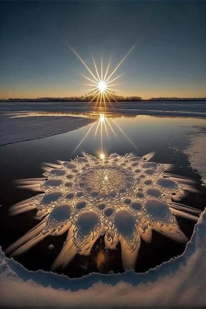 unusual-beautiful-things-02.jpg