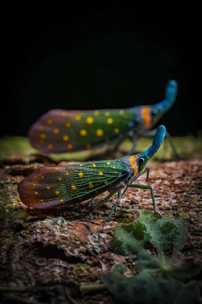 world-nature-photography-awards-winners-04.jpg