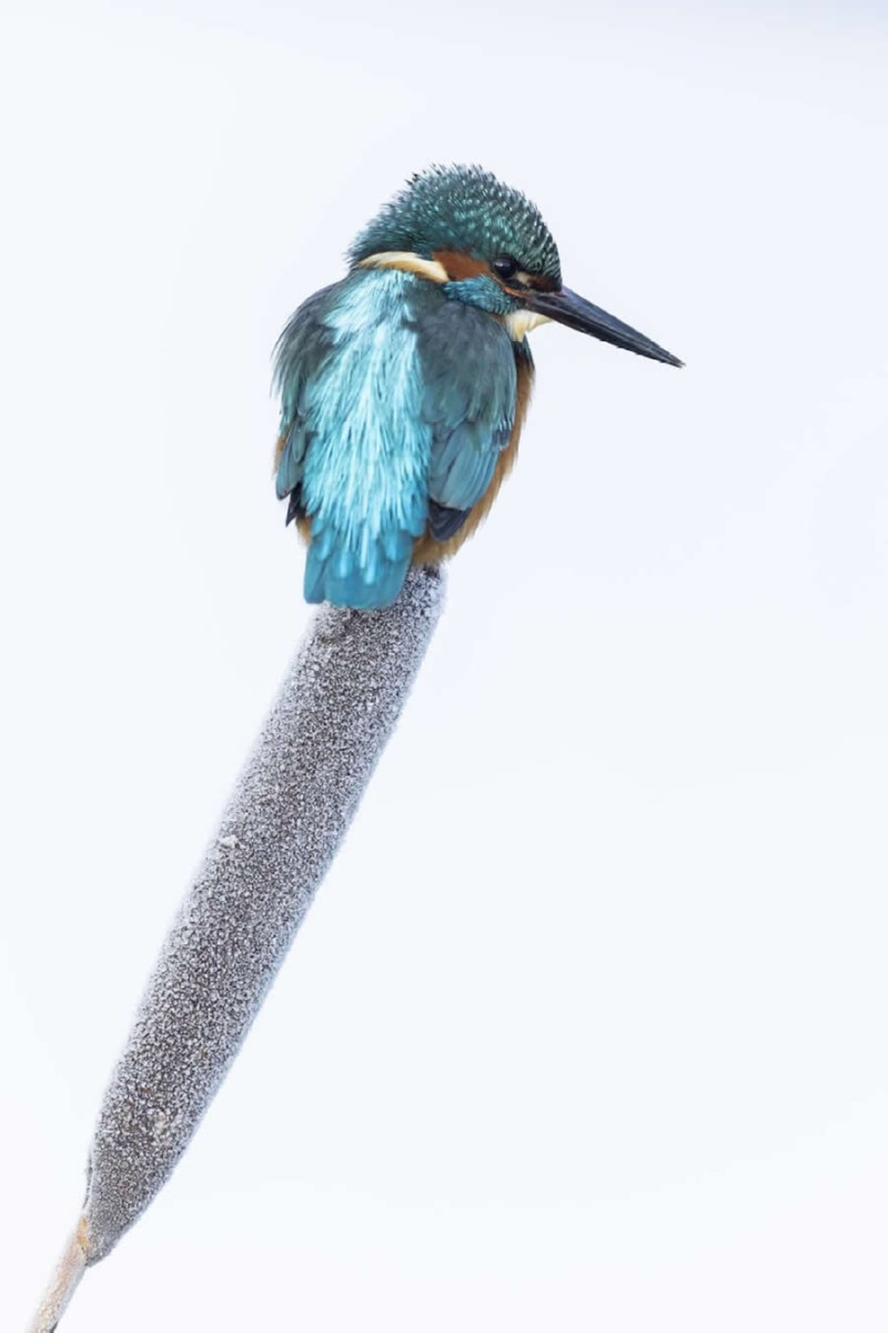 world-nature-photography-awards-winners-05.jpg