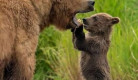 unforgettable-moments-of-nature-01.jpg