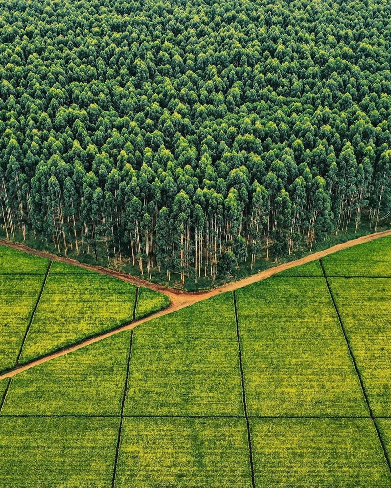 best-drone-photography-06.jpg