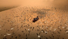 aerial-photography-35photos-winners-01.jpg