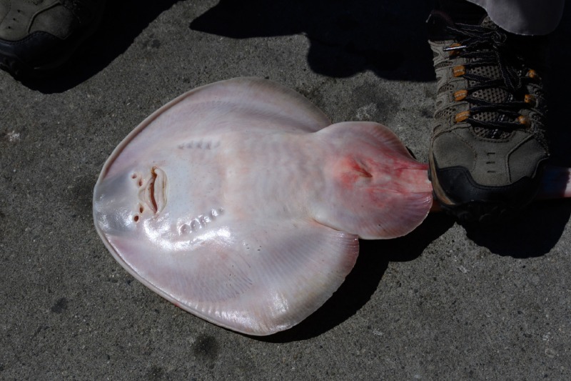 DSC_4476.jpg