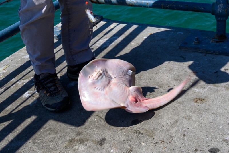 DSC_4471.jpg