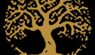 98519d5e025d8fd0f7e8e2aba981cadb_1786250772_8223.jpg